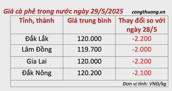 Dự báo giá cà phê ngày mai 30/5/2025, trong nước giảm nhẹ