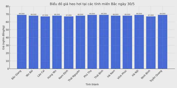 Biểu đồ giá heo hơi tại các tỉnh miền Bắc ngày 30/5.
