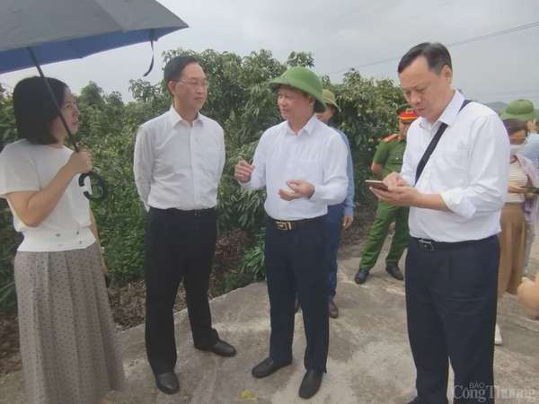 Thương nhân trong và ngoài nước đổ về vườn vải thiều Bắc Giang