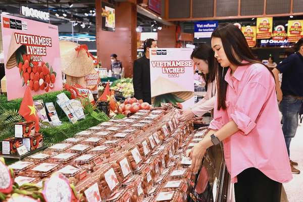 Rộng đầu ra cho trái vải vào vụ