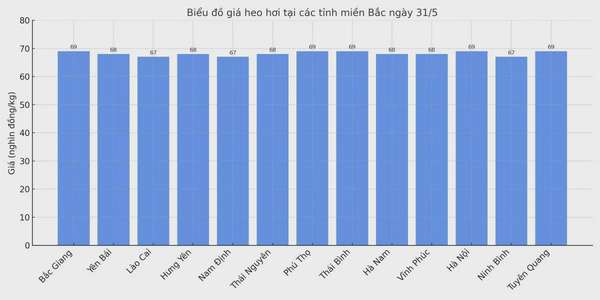 Biểu đồ giá heo hơi tại các tỉnh miền Bắc ngày 31/5.