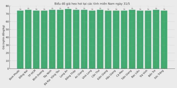 Biểu đồ giá heo hơi tại các tỉnh miền Nam ngày 31/5.