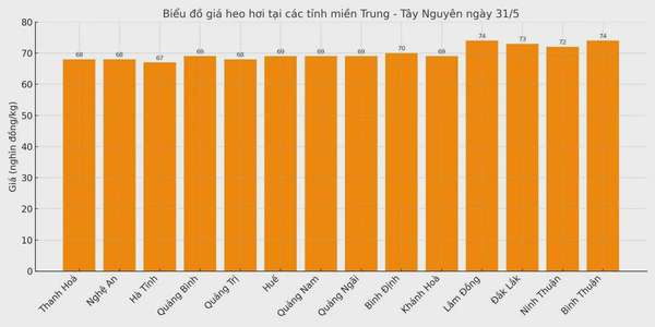 Biểu đồ giá heo hơi tại các tỉnh miền Trung - Tây Nguyên ngày 31/5.