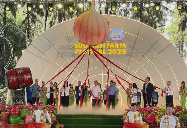 “Săn” trái cây giá rẻ tại Lễ hội trái cây Nam Bộ
