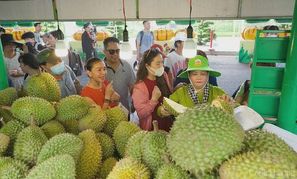 “Săn” trái cây giá rẻ tại Lễ hội trái cây Nam Bộ