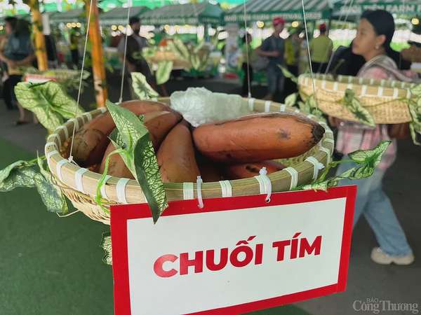 “Săn” trái cây giá rẻ tại Lễ hội trái cây Nam Bộ