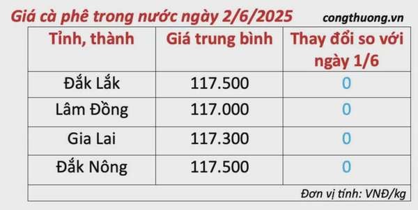 Dự báo giá cà phê ngày mai 3/6/2025, trong nước giảm nhẹ