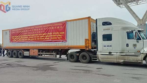 Lô hàng sầu riêng đông lạnh đầu tiên của Việt Nam xuất khẩu thành công sang thị trường Trung Quốc. Ảnh: Baoquangninh.vn.