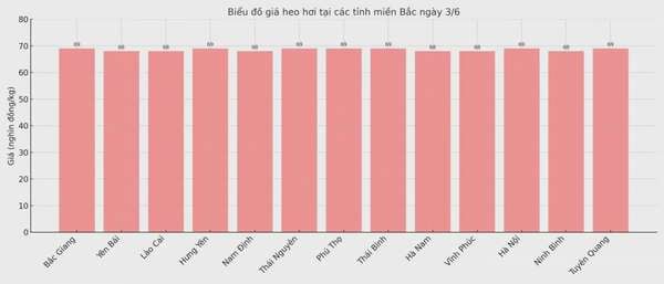 Biểu đồ giá heo hơi tại các tỉnh miền Trung - Tây Nguyên ngày 3/6.
