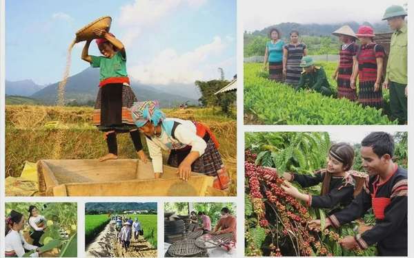 Thành lập Ban Chỉ đạo Trung ương các chương trình mục tiêu quốc gia giai đoạn 2021 - 2025