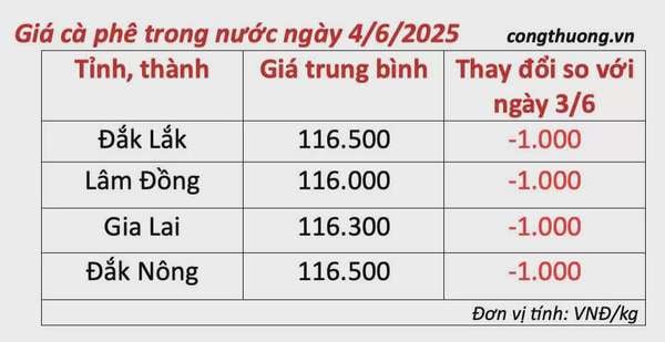Giá cà phê hôm nay 4/6/2025, trong nước biến động giảm