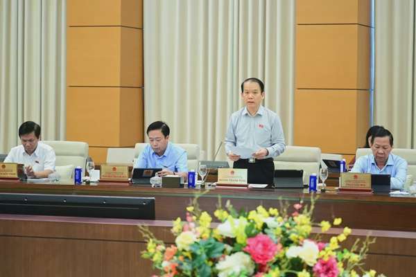Chủ nhiệm Ủy ban Pháp luật và Tư pháp Hoàng Thanh Tùng