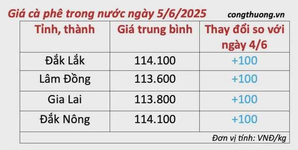 Dự báo giá cà phê ngày mai 6/6/2025, đà tăng trở lại