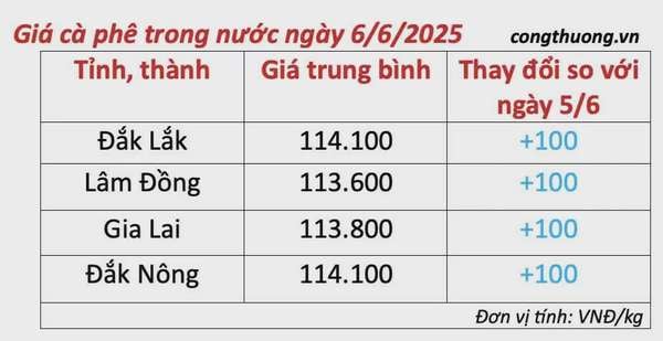Giá cà phê hôm nay 6/6/2025, trong nước