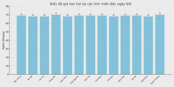 Biểu đồ giá heo hơi tại các tỉnh miền Bắc ngày 6/6.