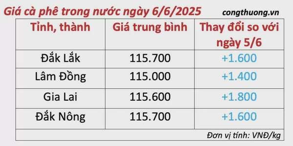Dự báo giá cà phê ngày mai 7/6/2025, trong nước đà tăng