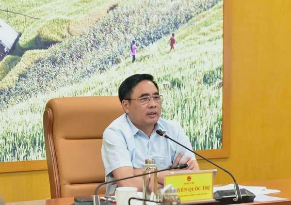 Thứ trưởng Nguyễn Quốc Trị bàn về kết quả công tác ngành lâm nghiệp 5 tháng đầu năm và triển khai kế hoạch nhiệm vụ trọng tâm T6/2025. Ảnh: Kiều Chi.