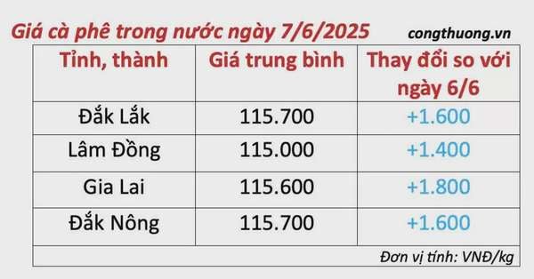 Giá cà phê hôm nay 7/6/2025, thị trường