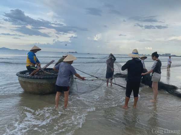 Thú vị cảnh kéo lưới rùng, mua bán cá trên biển Đà Nẵng Thú vị cảnh kéo lưới rùng, mua bán cá trên biển Đà Nẵng
