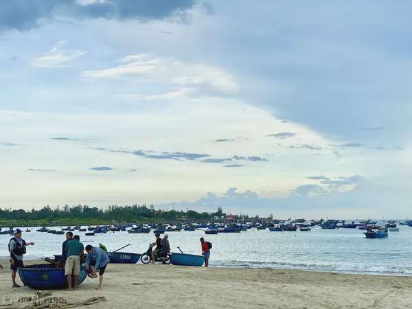 Thú vị cảnh kéo lưới rùng, mua bán cá trên biển Đà Nẵng Thú vị cảnh kéo lưới rùng, mua bán cá trên biển Đà Nẵng