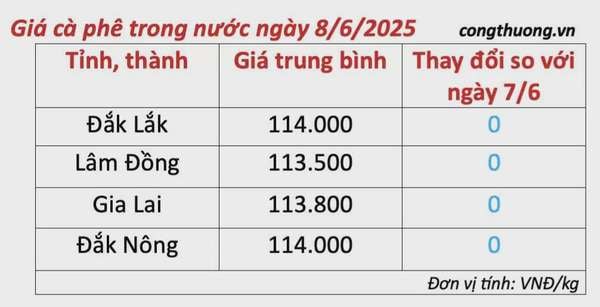 Dự báo giá cà phê ngày mai 9/6/2025, trong nước đi ngang