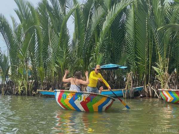 Du lịch Hội An: Ngày hè sôi động tại rừng dừa Bảy Mẫu Du lịch Hội An: Ngày hè sôi động tại rừng dừa Bảy Mẫu