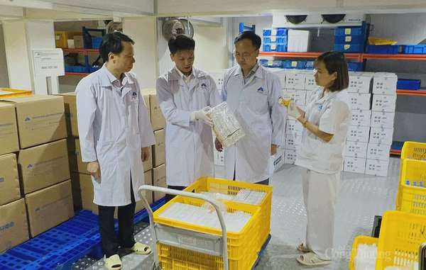 kiểm tra lô hàng vaccine trước khi xuất khẩu sang Indonesia.