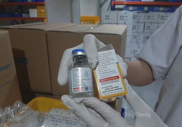 Indonesia đã trở thành quốc gia thứ ba, sau Việt Nam và Philippines, chính thức cho phép lưu hành vaccine AVAC ASF LIVE