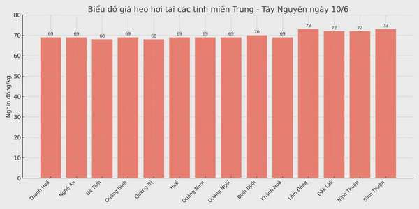 Biểu đồ giá heo hơi tại các tỉnh miền Trung - Tây Nguyên ngày 10/6.