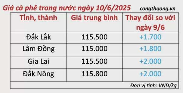 Dự báo giá cà phê ngày mai 11/6/2025, trong nước đà tăng