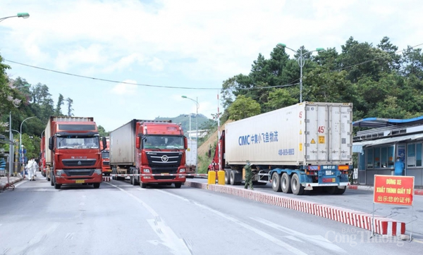 phương tiện chở hàng hóa xuất nhập khẩu từ tỉnh khác đến cửa khẩu Hữu Nghị, Tân Thanh đều được quản lý, giám sát chặt chẽ (Ảnh: Quỳnh Nga)