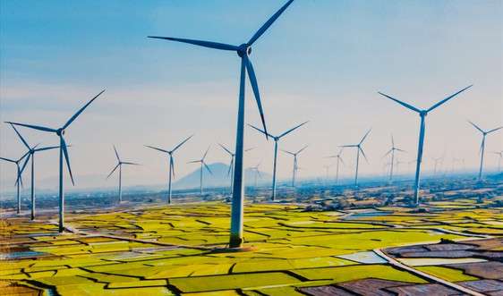 Ngành năng lượng tái tạo: Khung giá mới ai hưởng lợi?