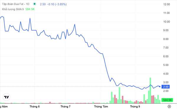 Áp lực bán giải chấp dâng cao, cổ phiếu DFF của Đua Fat về đáy lịch sử