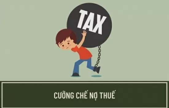 Long An: Cưỡng chế thuế một công ty bất động sản