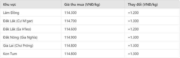 Giá cà phê hôm nay 16/10: Tăng mạnh, thiết lập mức giá cao kỷ lục