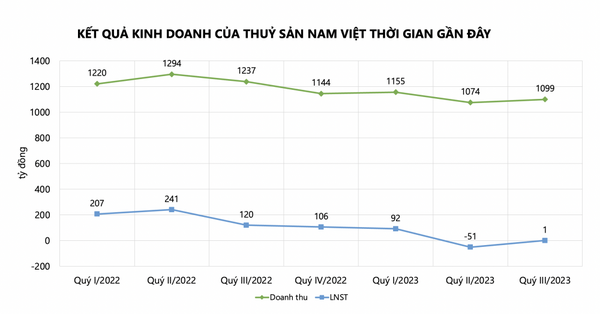 Chi phí đầu vào cao, Thuỷ sản Nam Việt (ANV) báo lãi “còi”