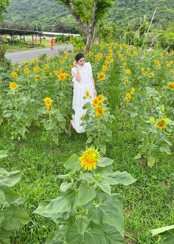 Thiếu nữ duyên dáng bên cánh đồng hoa hướng dương