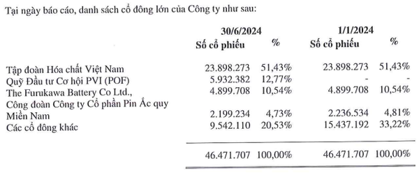 Pinaco (PAC) sắp chi hơn 46 tỷ đồng trả cổ tức, quá nửa chảy vào túi Vinachem