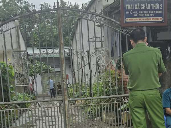 Ảnh bài viết