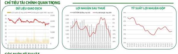 Các chỉ tiêu quan trọng của VNM