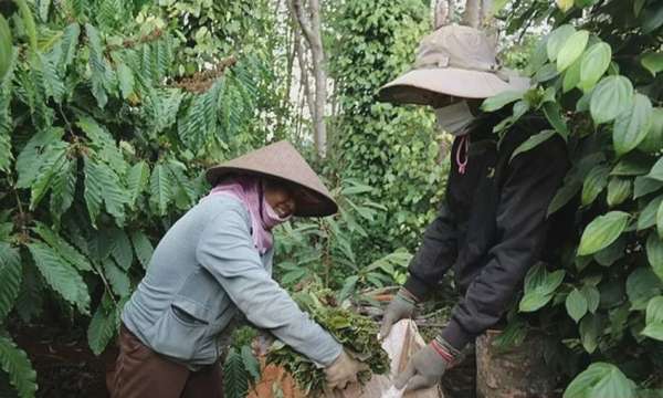 Ảnh bài viết