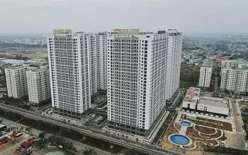 Ảnh bài viết