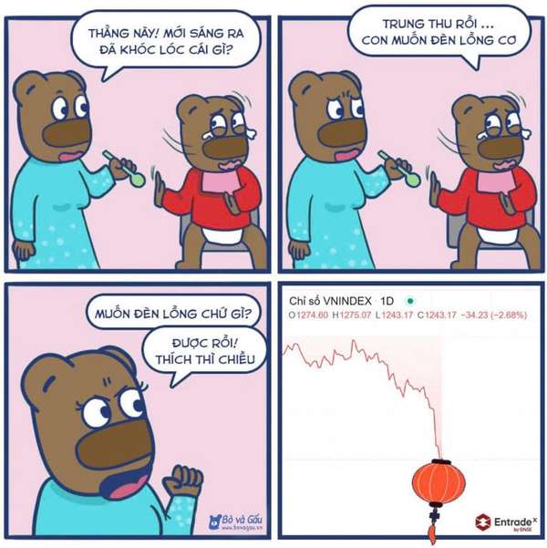 dnse12.jpg