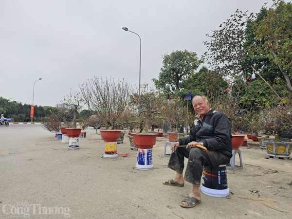 Hà Nội: Mới 29 Tết tiểu thương đã phá cây vì… xả lỗ vẫn ế khách