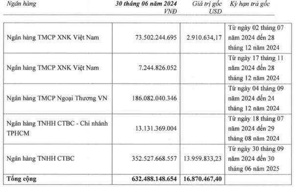 Sợi Thế Kỷ lỗ kỷ lục, cổ phiếu STK lập tức vào cảnh bán không ai mua