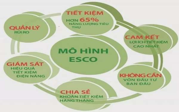 Ảnh bài viết