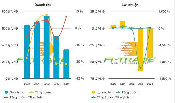 Cổ phiếu HVX của Vicem Hải Vân vào diện kiểm soát