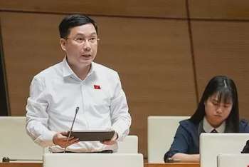 Ảnh bài viết