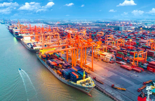 Tập đoàn vận tải biển Mediterranean Shipping Company (MSC) muốn làm dự án cảng 6 tỷ USD tại cảng Cần Giờ