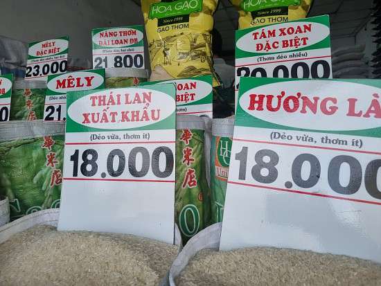 Giá gạo xuất khẩu tiếp tục tăng trở lại